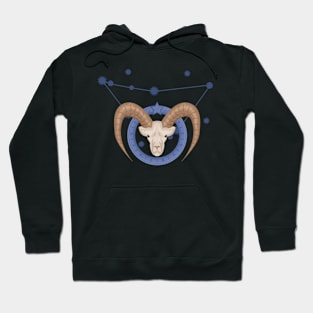 Capricorn Hoodie